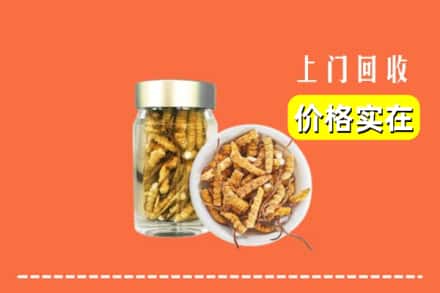 收购资讯:达州市渠县回收散虫草