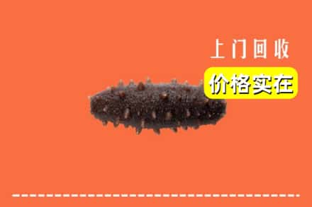 收购资讯:达州市渠县回收海参