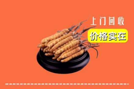 达州市渠县回收冬虫夏草